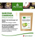 Garcinia Cambogia Kapseln (4:1 Extrakt, 60% HCA) 100% Vegan mit Kalzium, 90 Caps ohne Trennmittel, ohne Stearate