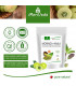 MoriVeda® - Moringa+Amla Pulver - Moringa Oleifera Premium Blattpulver und Amla (Amalaki) Fruchtpulver, vegan (1x250g)