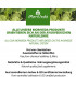 Moringa Blattpulver 250g, Oleifera PREMIUM PLUS zertifizierte Rohkost 1 (1x250g Pulver)