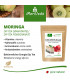 Moringa Oleifera Dip Tee - 100% Natur, Vegan, 1A Qualität (20 Beutel)
