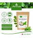 MoriVeda® Moringa Dip Tee - Minze - 100% natürlich, vegan (1x20 Beutel)