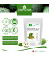 MoriVeda® Graviola Extrakt 4:1 konzentriertes Fruchtpulver, Sauersack (3x120g)