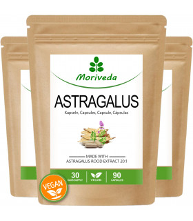 MoriVeda® Astragalus Kapseln, 100 % natürlich, vegan, 10:1 Extrakt (3x90 Kapseln)