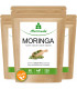 Moringa Kapseln 600mg - Oleifera Rohkost Qualität von MoriVeda (3x120)