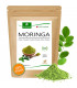 Moringa Blattpulver 250g, Oleifera PREMIUM PLUS zertifizierte Rohkost 1 (1x250g Pulver)