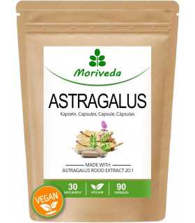 Astragalus 90 Kapseln, Tragant, 112mg Polysaccharide (1x90)