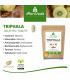 Triphala 120 Presslinge 1000mg - Amalaki, Bibhitaki, Hiritaki - von MoriVeda (1x120)